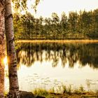 Mein Sommer in Schweden auf Öland