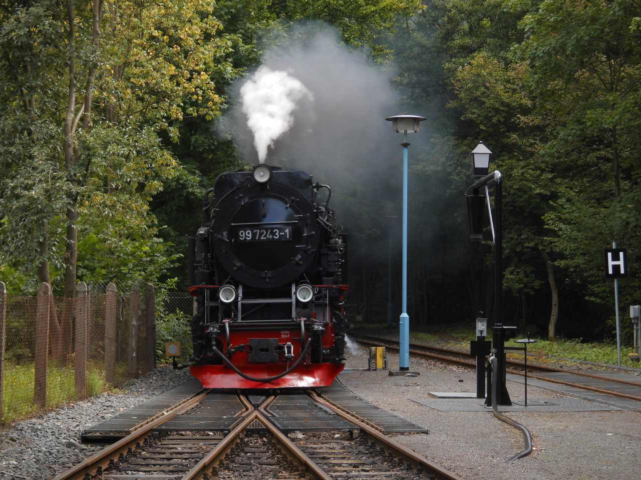 Mein Sommerausflug mit der Selketalbahn 3.