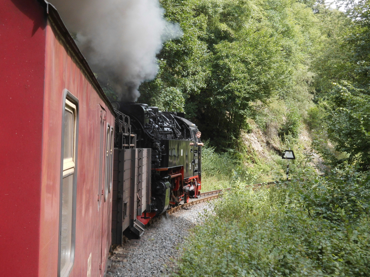 Mein Sommerausflug mit der Selketalbahn 4.