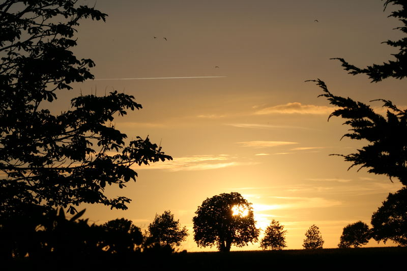 Mein Sonnenuntergang auf dem Zeteler Esch