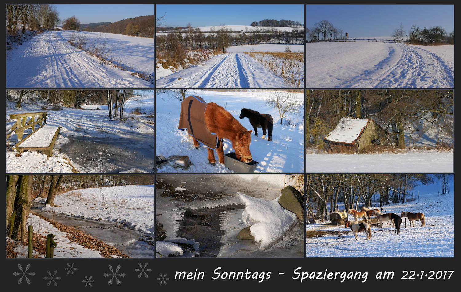 mein Sonntags-Spaziergang