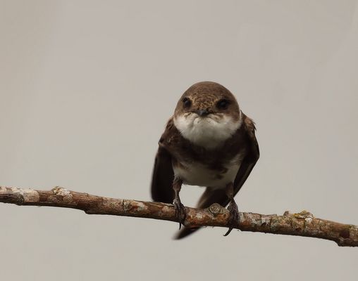 .*.*.*.*   mein Sonntagsbild ......   .*.*.*.*