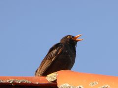 Mensch und Natur