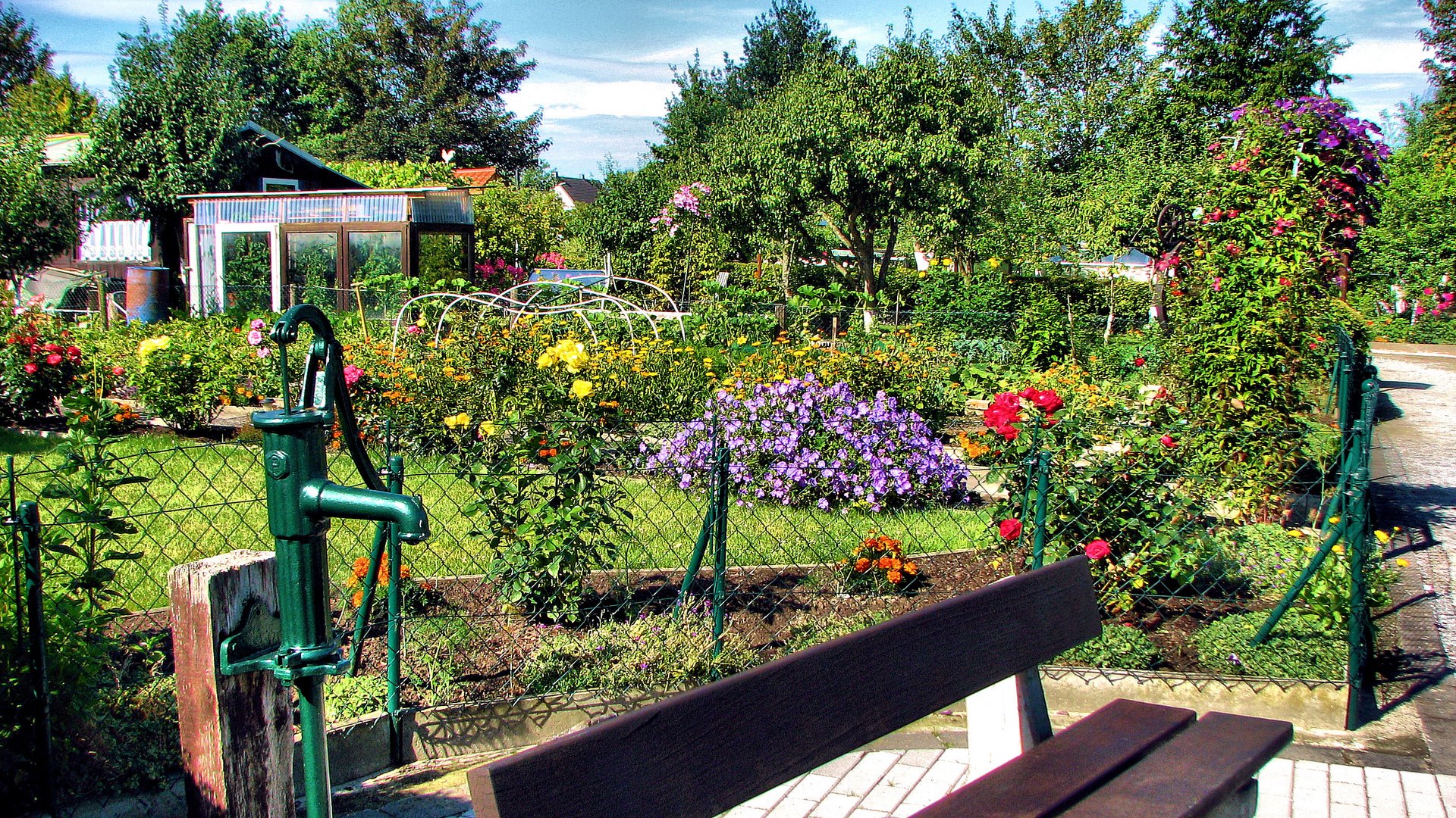 Mein Spaziergang im Schrebergarten