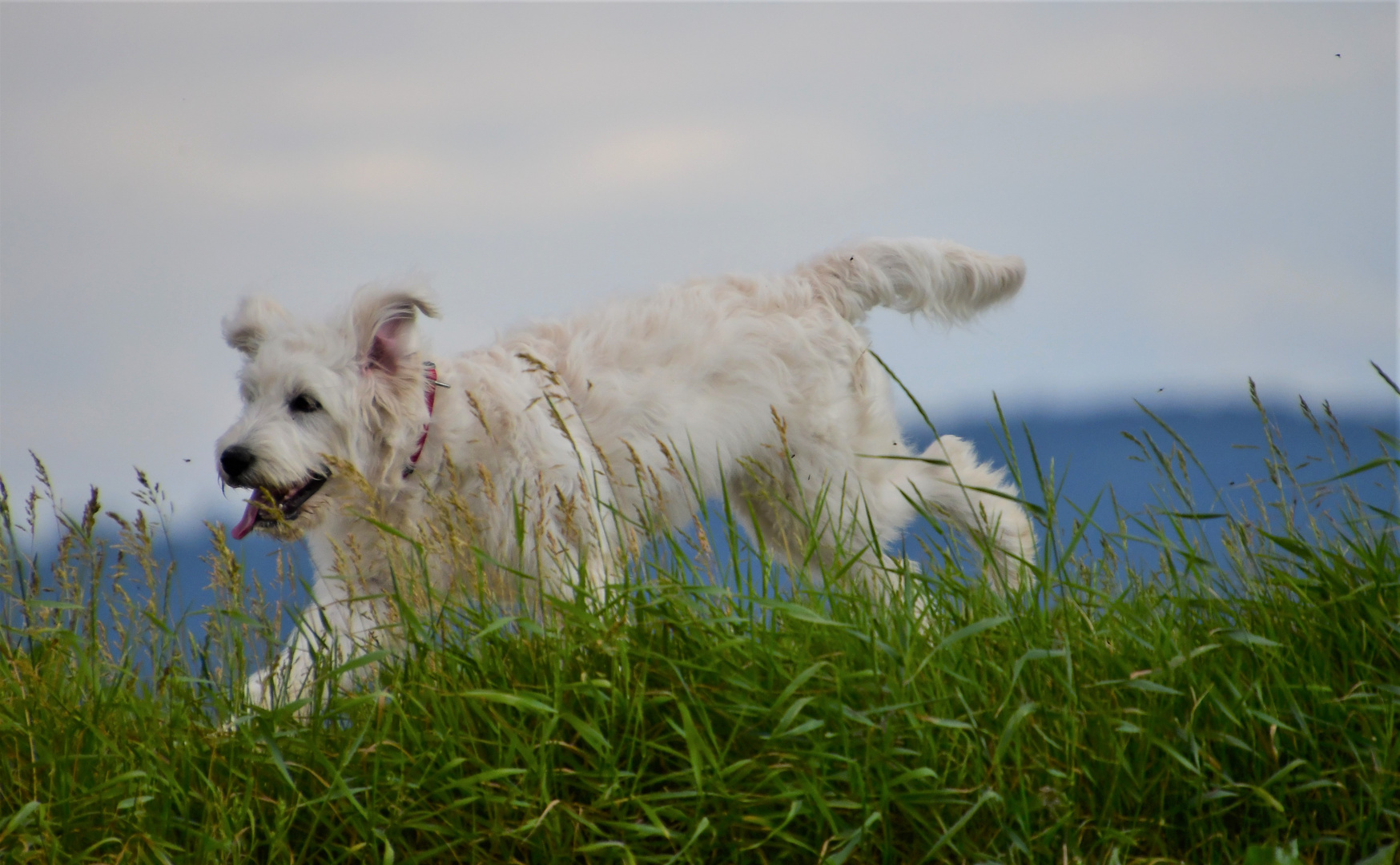 Mein Spring ins Feld 