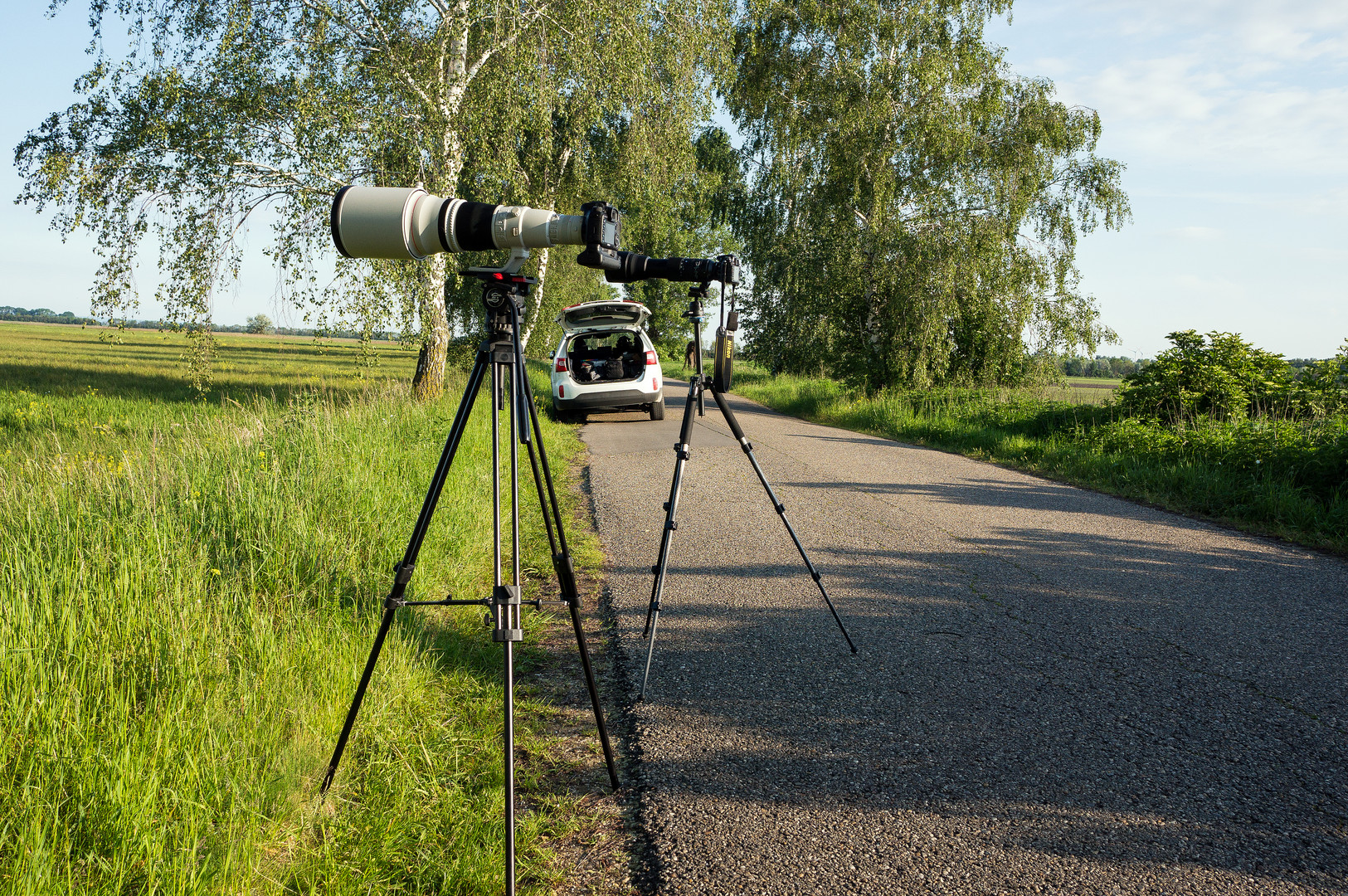 mein Standplatz im Vordergrund bei den Sumpfohreulen 