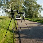 mein Standplatz im Vordergrund bei den Sumpfohreulen 