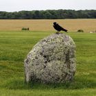 Mein Stein......auch ein Stück Stonehenge ....