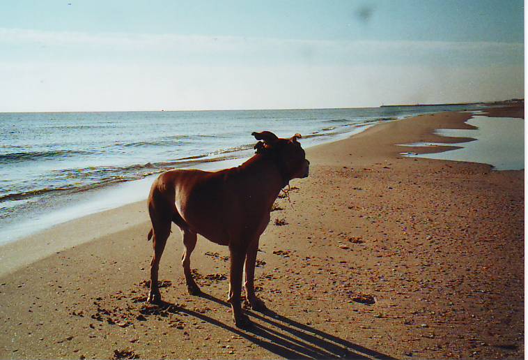 mein strand...