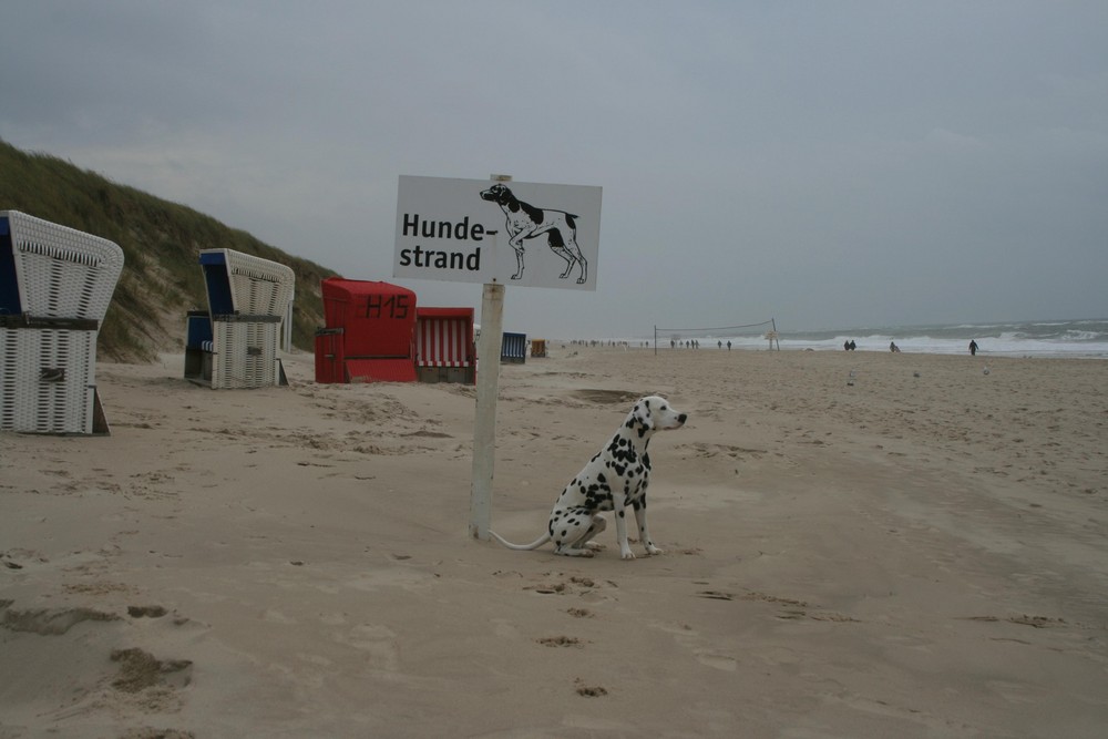 Mein Strand