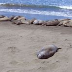 mein Strand .......... mein Meer .......... mein HAREM