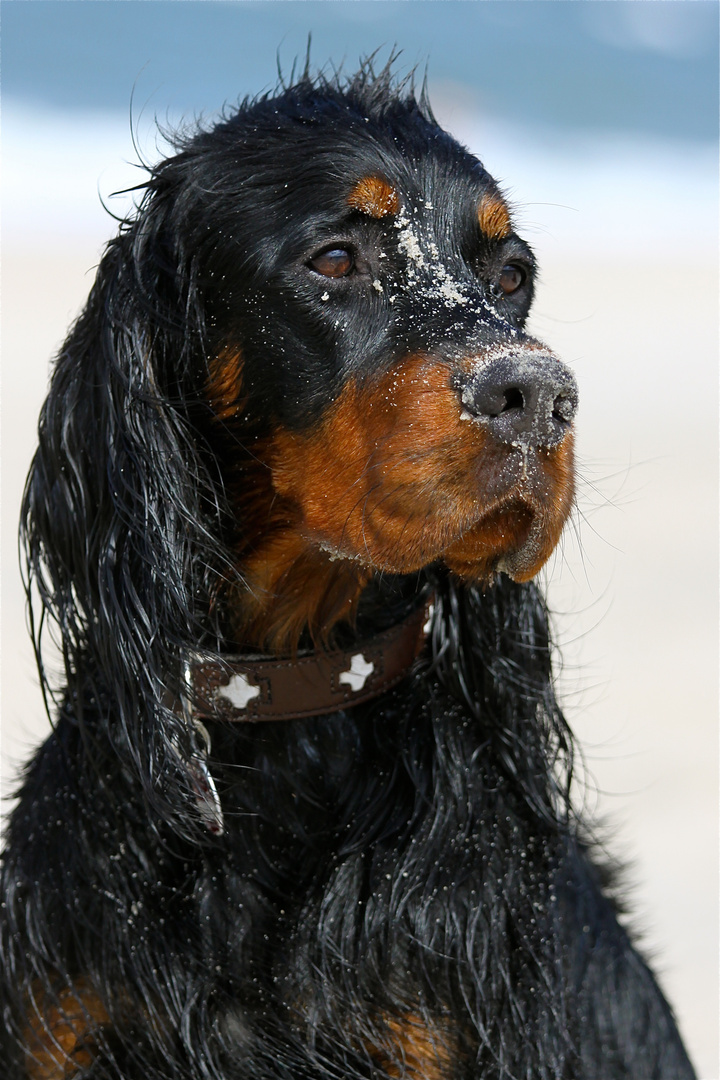 Mein Strandpunker :-)