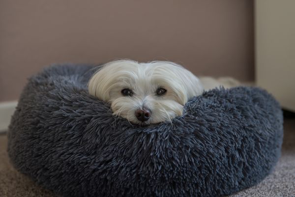 Mein süßer Schatz.