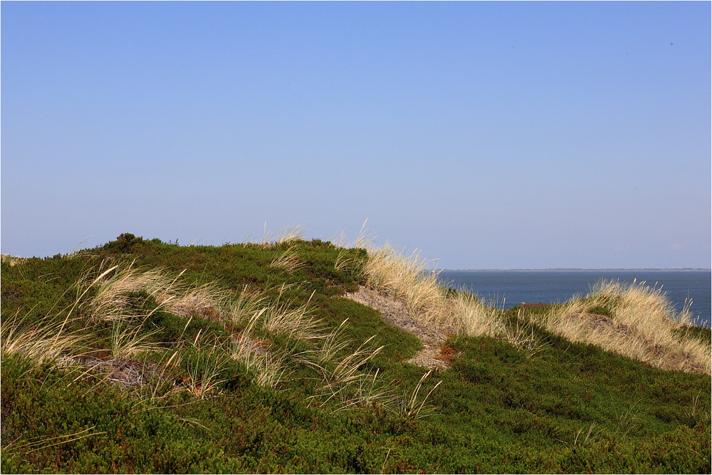 Mein Sylt.