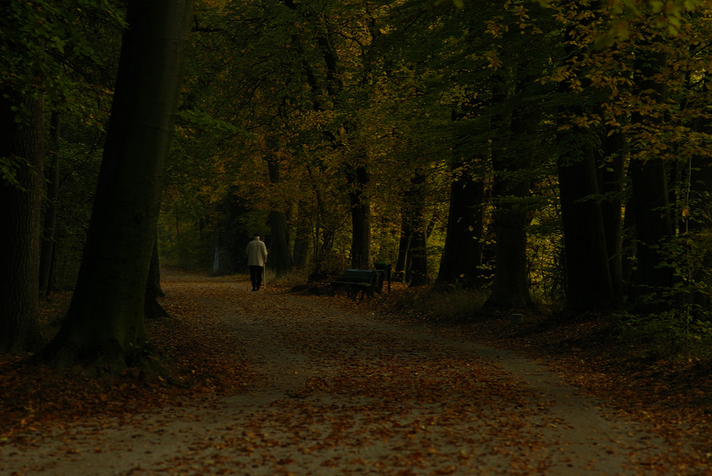 mein täglicher Radweg zur Arbeit, an der Isar in München