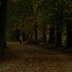 mein täglicher Radweg zur Arbeit, an der Isar in München