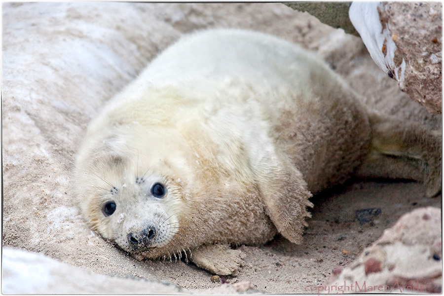 (M)ein Tag auf Helgoland