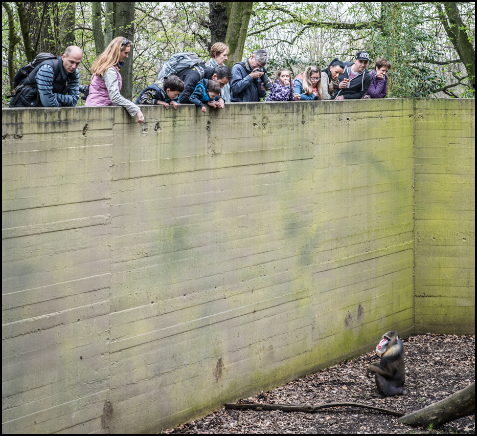 Mein Tag im Zoo I