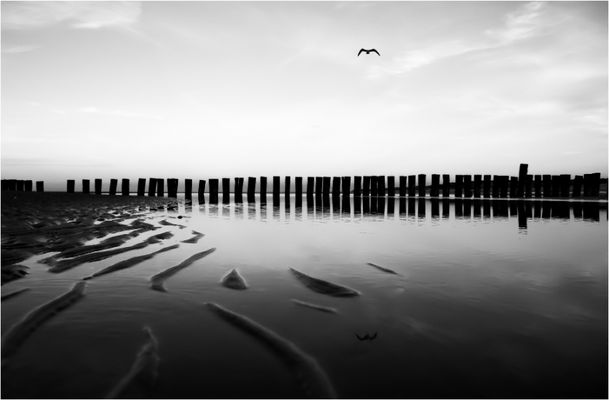 Mein Tagesbild Für Dich