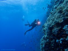 Mein Tauchpartner Dieter im Roten Meer