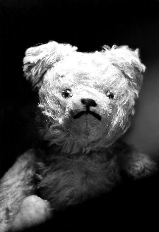 Mein Teddy