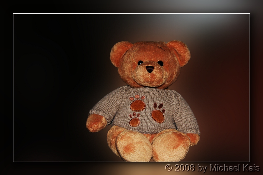 Mein Teddy