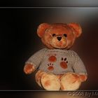 Mein Teddy
