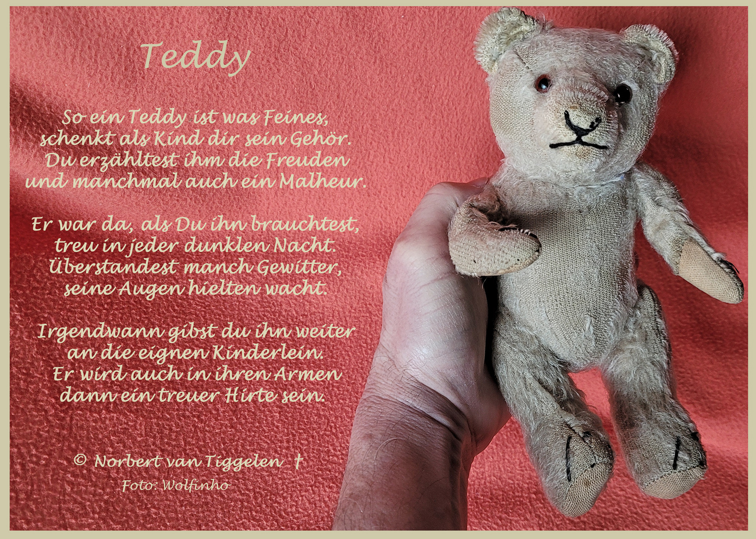 Mein Teddy,