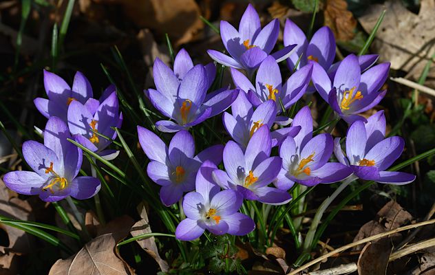 Mein Terminkalender war verschwunden,