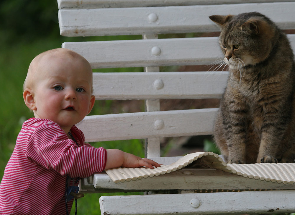 mein Tiger und ich...