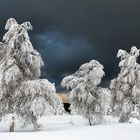 Mein Traum in Weiss....