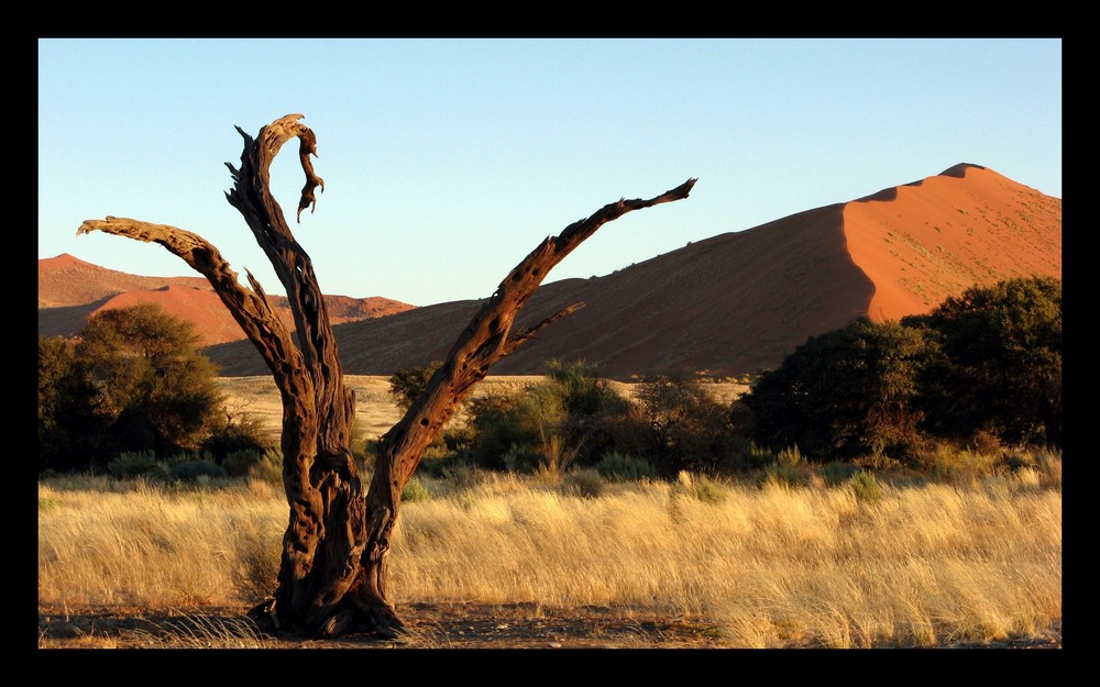 Mein Traum von Afrika...