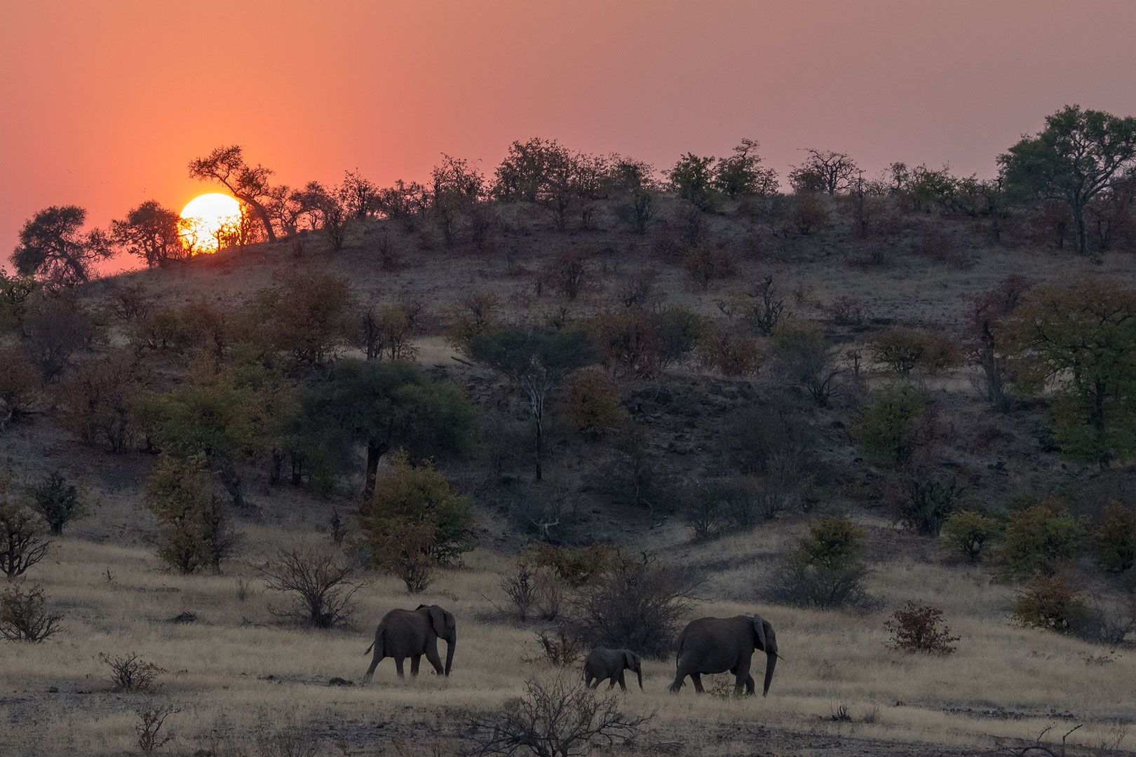 Mein Traum von Afrika