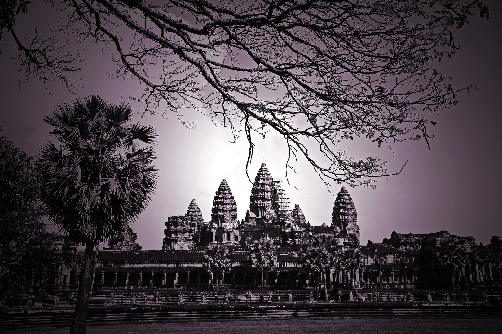 Mein Traum von Angkor!!