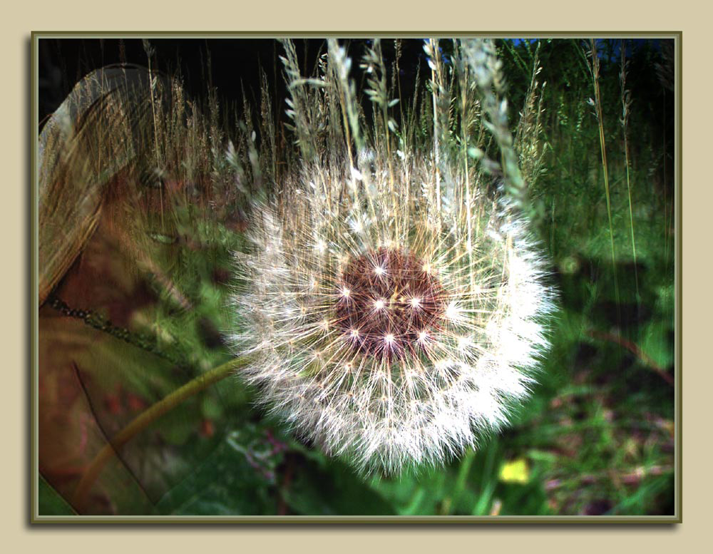 Mein Traum von Sommer