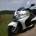 Mein treuer Begleiter auf Fototour, der YAMAHA YP 400 Majesty