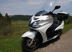 Mein treuer Begleiter auf Fototour, der YAMAHA YP 400 Majesty