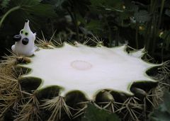 mein UFO-Landeplatz ist bereit...