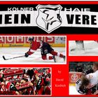 Mein Verein, kleine Collage ;O)