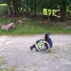 Mein verlassener Rollstuhl