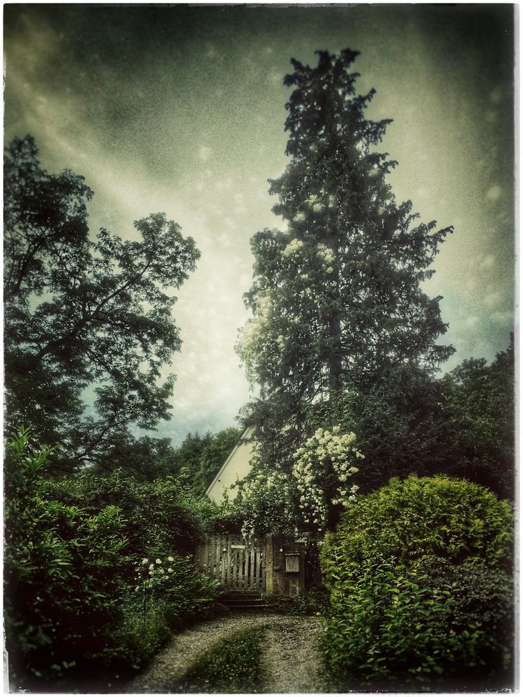 mein verwunschener garten 0 Foto &amp; Bild landschaft