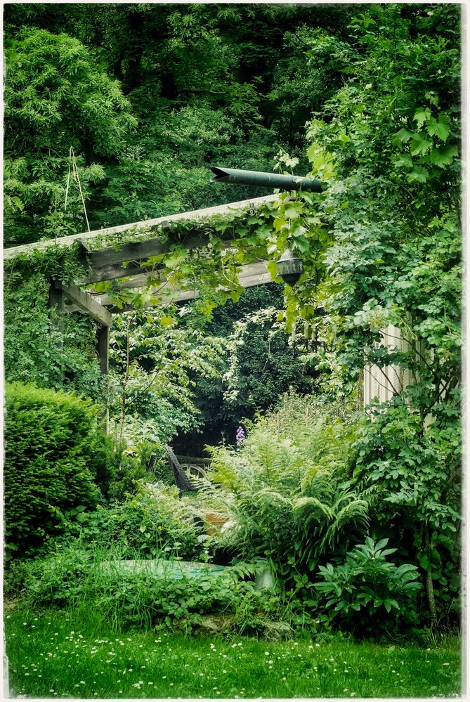 mein verwunschener garten 10 Foto & Bild landschaft, garten
