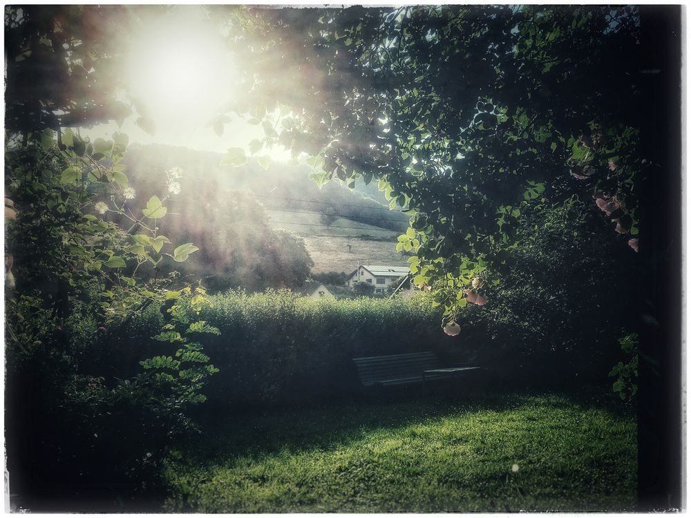 mein verwunschener garten 7 Foto &amp; Bild landschaft