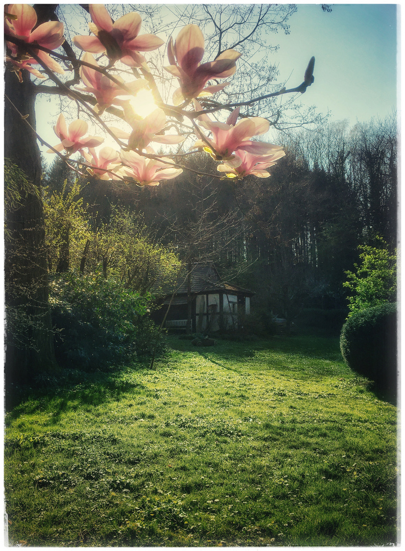 mein verwunschener garten 9 Foto &amp; Bild landschaft