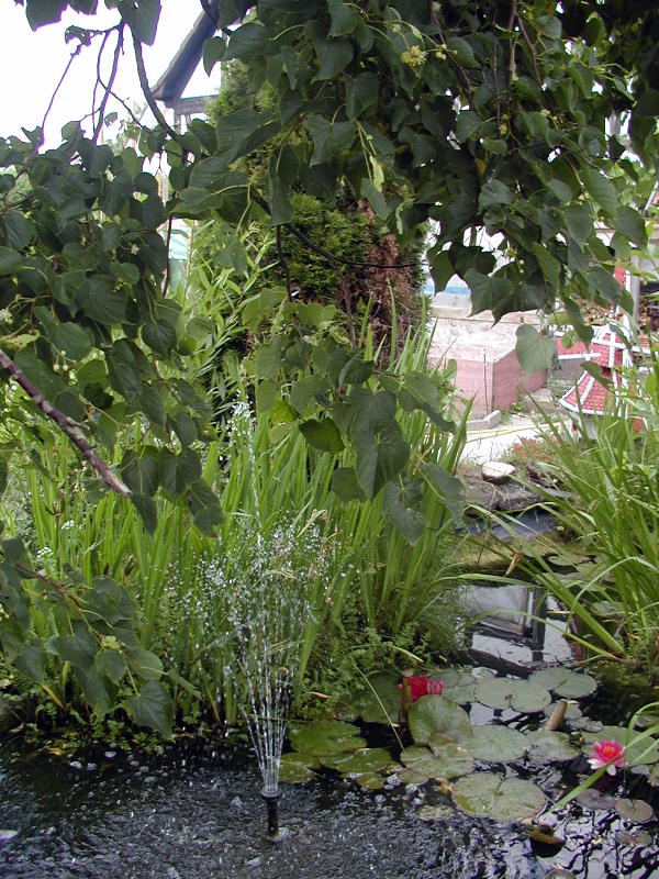 mein verwunschener garten Foto &amp; Bild naturkreativ
