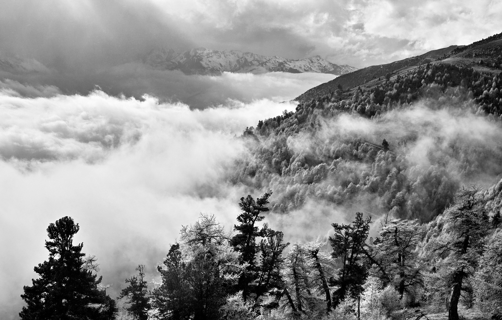 mein Vinschgau/Südtirol