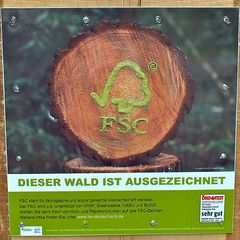 ... Mein Wald daheim :-) ...