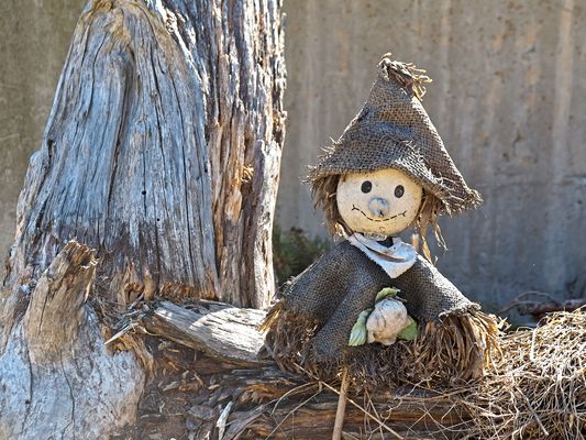 Mein Wald-Kobold wünscht dir sonnige Ostertage ...