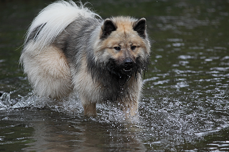 Mein Wasser-Bär :o))