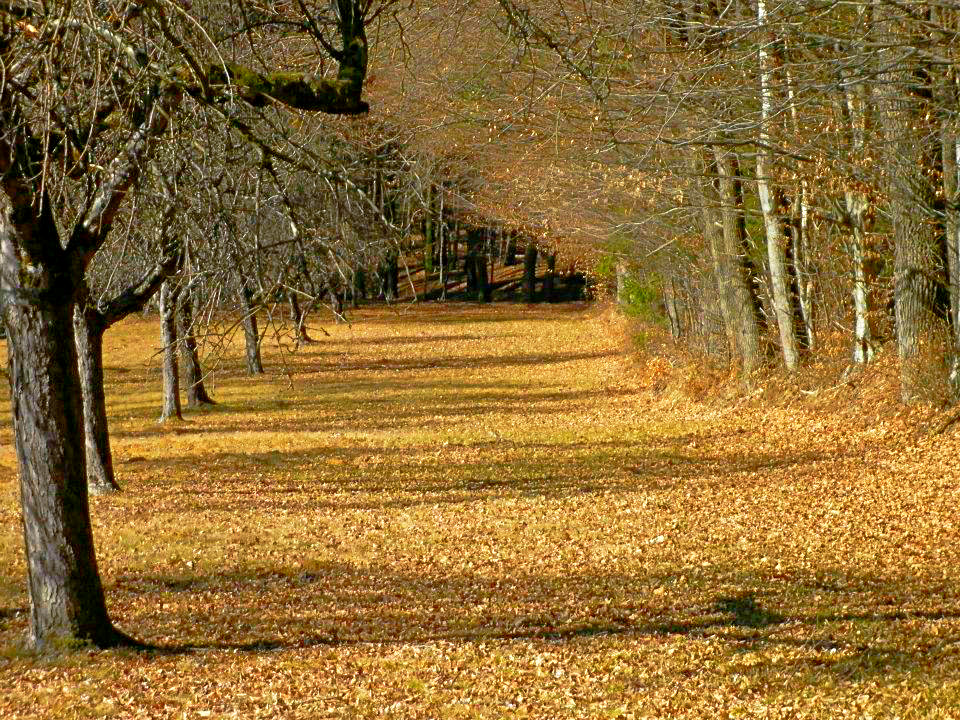 mein Weg...